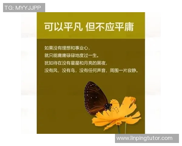 韩硕的成长之路：从普通学生到职场精英的奋斗历程与心路历程分享